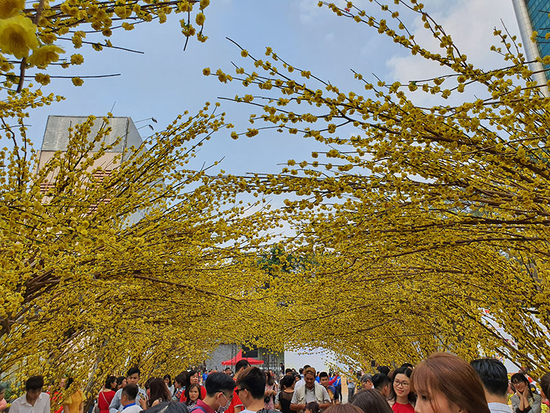 Đánh giá chi tiết Galaxy Note 10+ chạy Android 10 OneUI 2.0