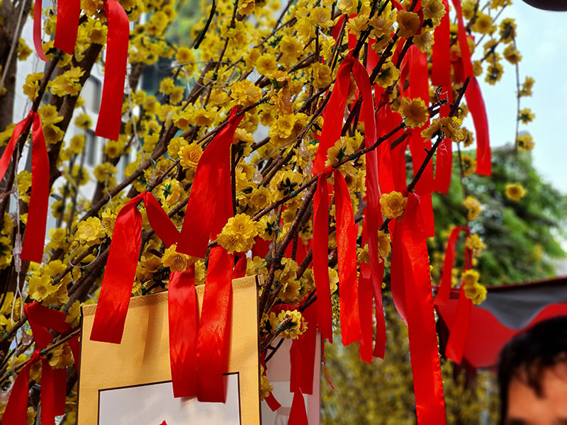 Đánh giá chi tiết Galaxy Note 10+ chạy Android 10 OneUI 2.0