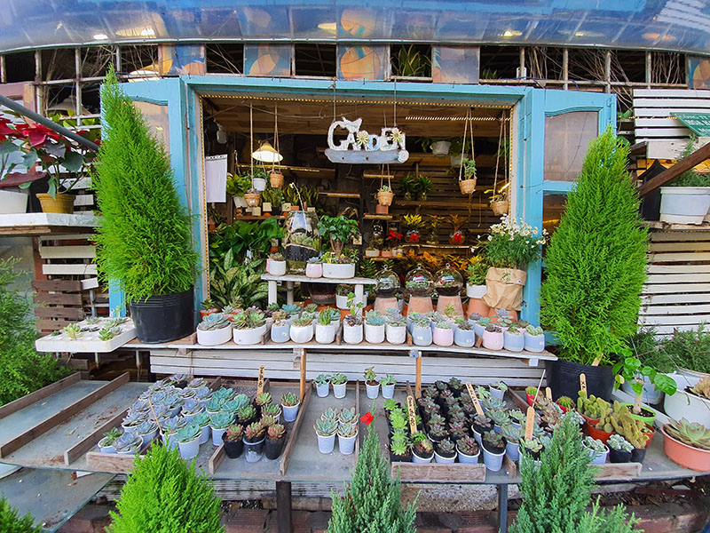 Đánh giá chi tiết Galaxy Note 10+ chạy Android 10 OneUI 2.0