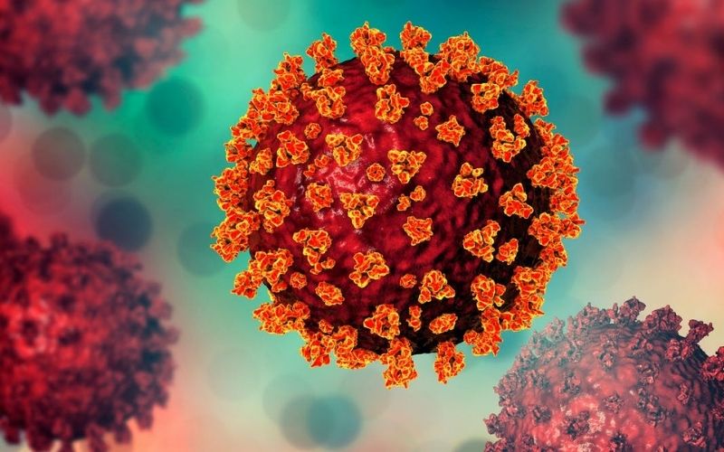 Các biến thể virus Corona có khả năng lây lan nhanh và dễ dàng