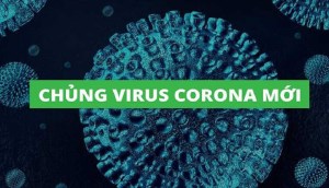 60+ câu hỏi thường gặp về dịch bệnh Covid-19 (virus Corona)