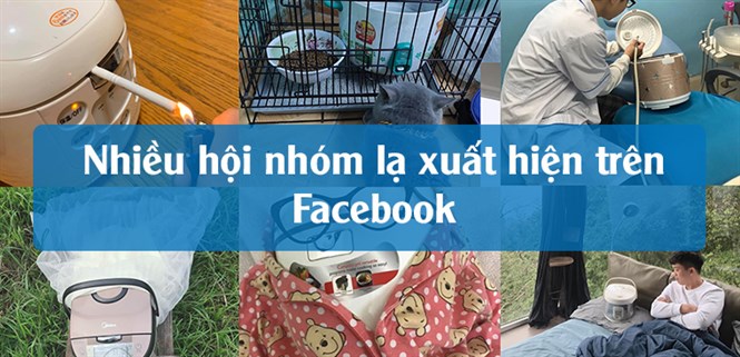 Trend mới đầu năm "Hội anh em đam mê nồi cơm điện", "quạt", "bếp gas"