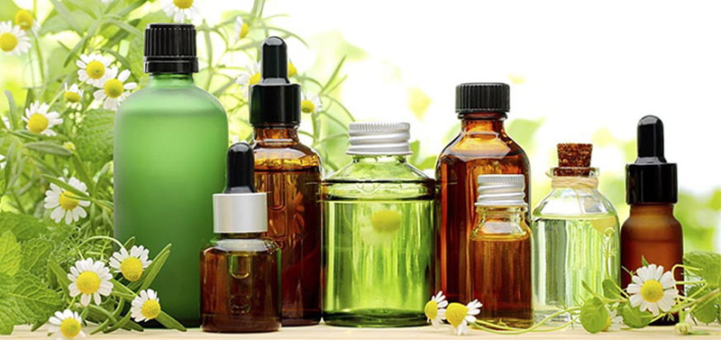 Phòng ngừa các loại virus gây bệnh bằng tinh dầu tràm trà Phòng ngừa các loại virus gây bệnh bằng tinh dầu tràm trà