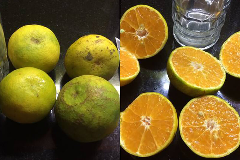 How to make cool tangerine juice to quench thirst