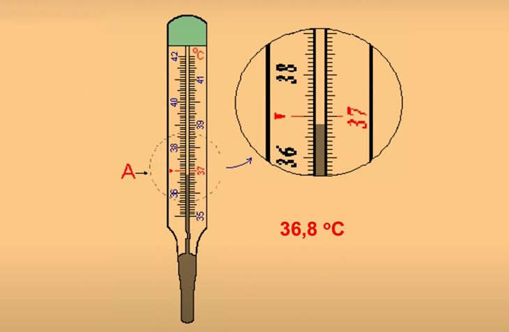 Nhiệt kế thủy ngân là thiết bị đo nhiệt độ đã quen thuộc với chúng ta. Đây là sản phẩm chất lượng và đáng tin cậy, giúp đo nhiệt độ của các vật liệu, thực phẩm hay người nhanh chóng và chính xác. Xem ảnh liên quan đến nhiệt kế thủy ngân để hiểu hơn về sản phẩm này và sử dụng nó một cách nhanh chóng, đúng cách!
