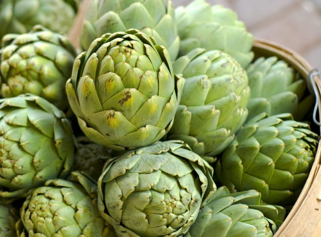 artichoke flowers support weight loss