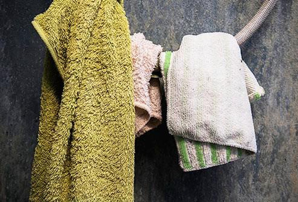 Kitchen towel is an ideal place for bacteria to adhere and grow on