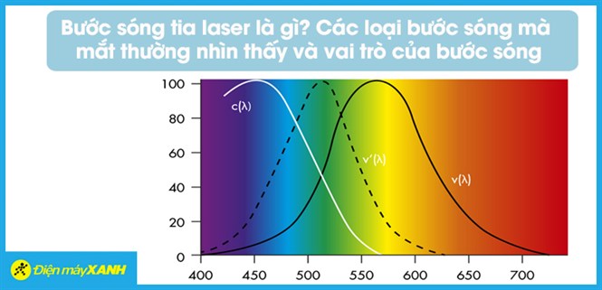 Bước sóng là gì? Vai trò của các loại bước sóng nhìn thấy được