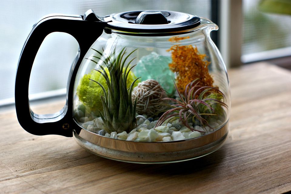 Mini landscape inside a glass kettle
