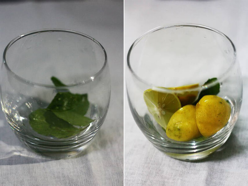 Great refreshment at home with a simple mint Mojito recipe