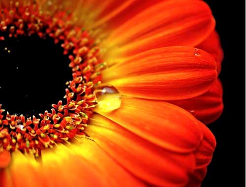 Macro Macro