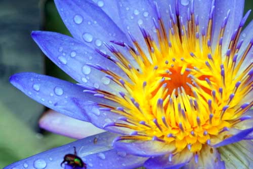 Macro Macro