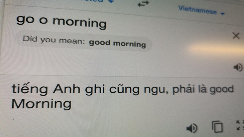 GG dịch GG dịch