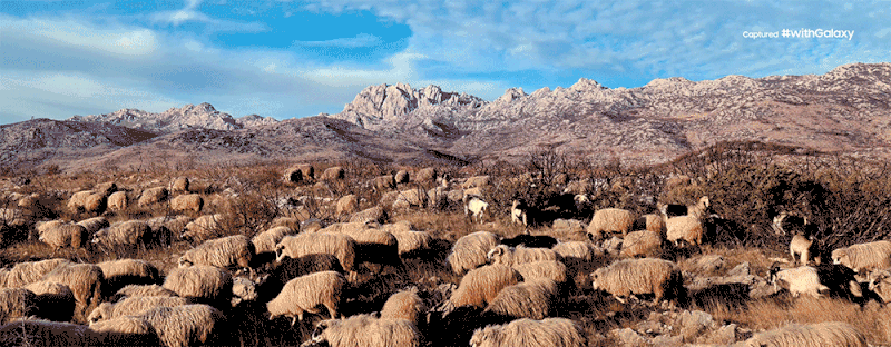 Samsung công bố bằng chứng chụp Mặt Trăng của Galaxy S20 Ultra: 100x zoom Samsung công bố bằng chứng chụp Mặt Trăng của Galaxy S20 Ultra: 100x zoom