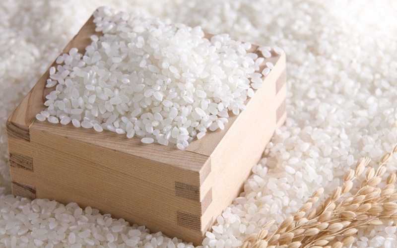 Hạt gạo 504 dạng bầu với đặc tính nở xốp khô không dính phù hợp trong  việc làm nguyên liệu sản xuất những khách hàng có sở thích chuộng cơm khô