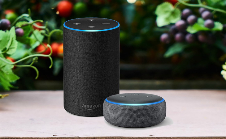 5 công dụng bất ngờ của loa thông minh Amazon Echo > Bảo vệ ngôi nhà của bạn