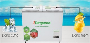 Các dòng sản phẩm tủ đông của Kangaroo 2022