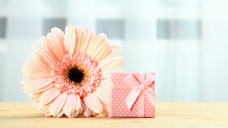 Những ngày về phụ nữ khác trên thế giới