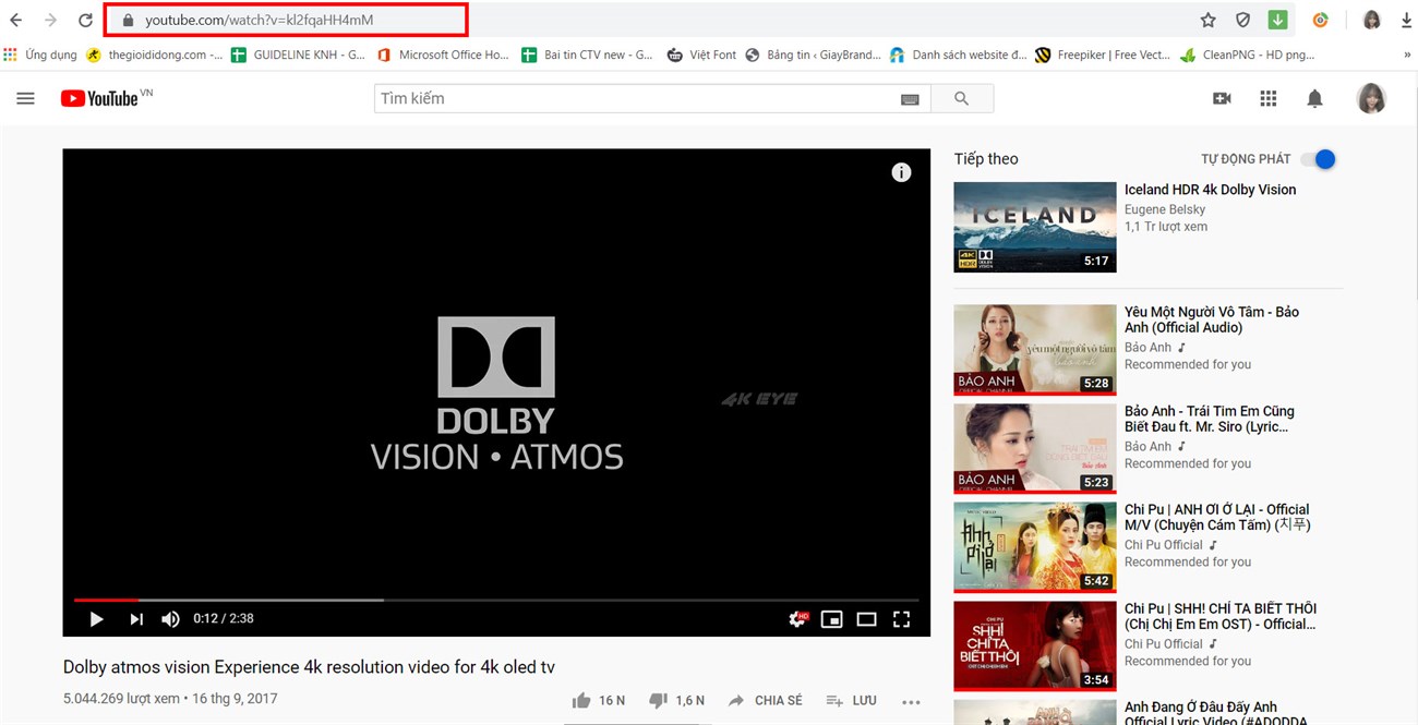 Sao chép URL YouTube