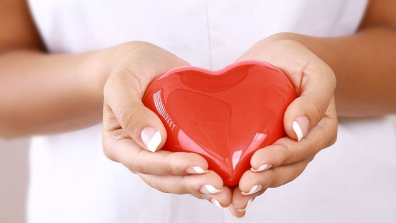 Chè dưỡng nhan giúp phòng chống bệnh tim mạch