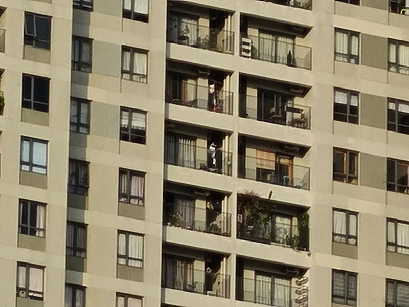 Đánh giá chi tiết Samsung Galaxy S20+