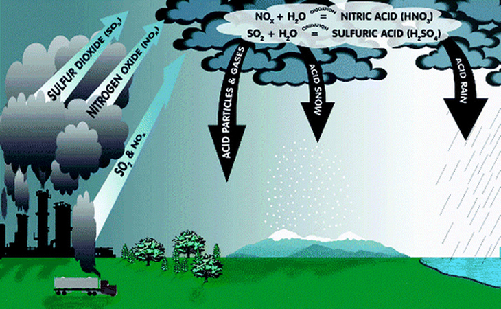 Các tạp chất tồn tại trong khí quyển gồm các khí như: NO2, NH3, H2S