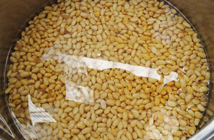 Mẹo ng&acirc;m đậu nhanh ch&oacute;ng, kh&ocirc;ng mất nhiều thời gian