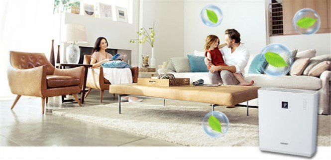 Cách diệt vi khuẩn, nấm mốc cho sàn nhà và không khí