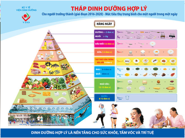 Nutrition pyramid