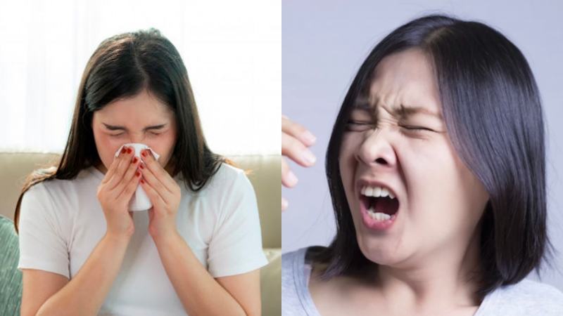Nếu bị sổ mũi và hắt hơi thì khả năng cao chỉ là cảm cúm và cảm lạnh thông thường