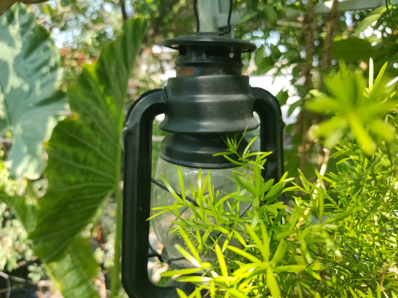 Đánh giá camera OPPO Find X2 Đánh giá camera OPPO Find X2