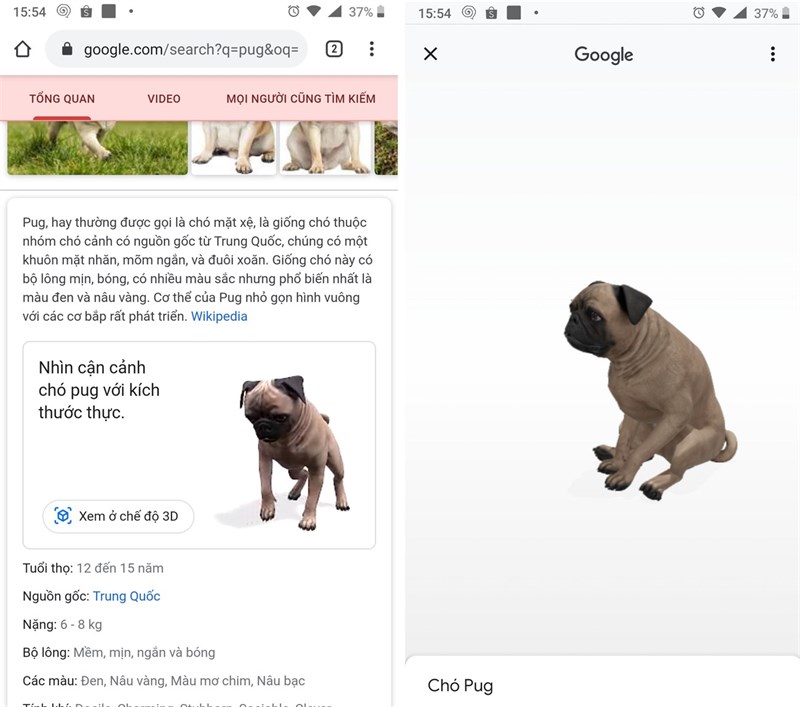 Google là nguồn tài nguyên không thể thiếu trong việc tìm kiếm hình ảnh động vật 3D. Hãy đến với thế giới động vật sống động và tuyệt vời nhất qua những hình ảnh động vật 3D trên Google.