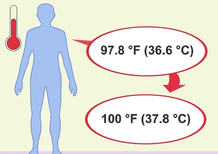 Hiểu sơ qua nhiệt độ của các bộ phận trên cơ thể và đặc điểm đối tượng