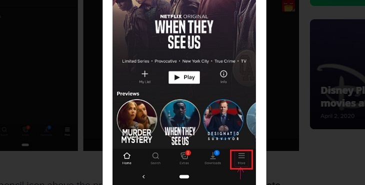 Open the Netflix app, select More (Other).