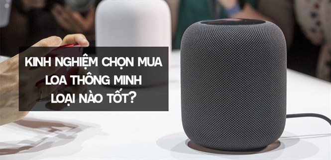 Kinh nghiệm chọn mua loa thông minh: Loại nào tốt cho ngôi nhà của bạn?