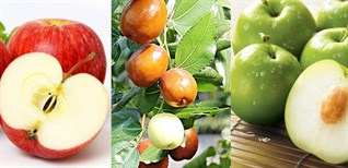 Có nên ăn táo đỏ nếu mình có da dầu và mụn?
