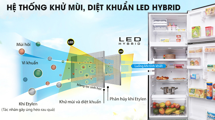 LED Hybrid