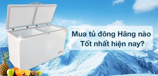 Nên mua tủ đông lạnh của hãng nào tốt nhất hiện nay?