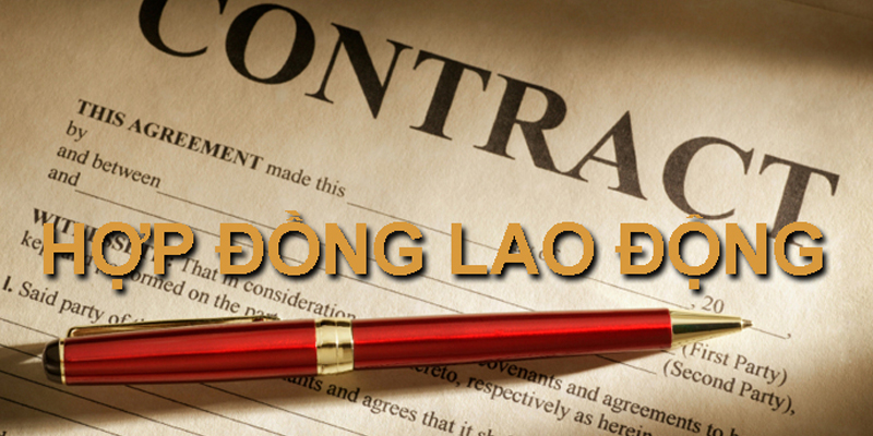 Người lao động làm việc theo chế độ hợp đồng lao động