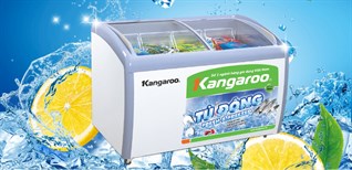 Tủ đông mặt kính là gì? Có nên mua tủ đông mặt kính không?