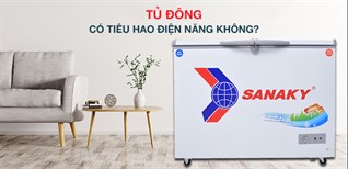 Tủ đông có tốn điện không? Cách tiết kiệm điện khi sử dụng tủ đông