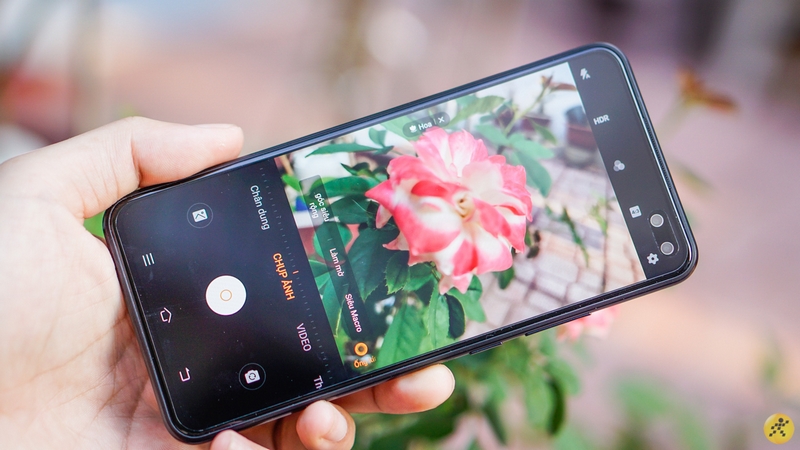 Màn hình Vivo V19