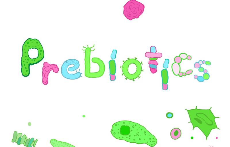 Prebiotics là gì?