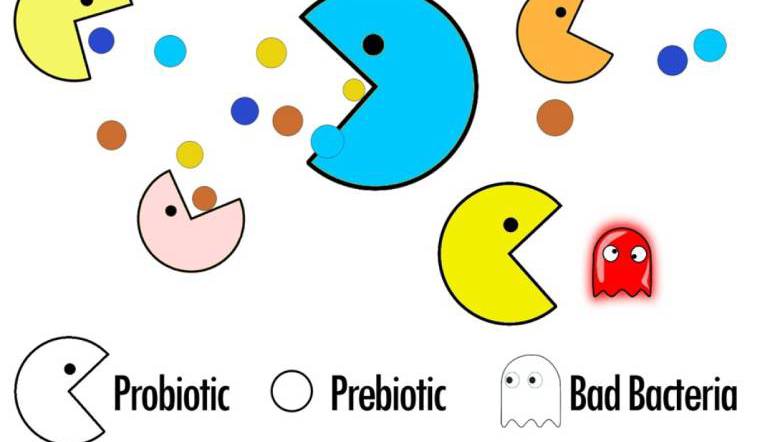 Prebiotic là gì? Phân biệt Prebiotic và Probiotic