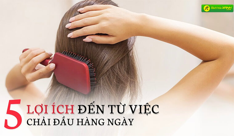 5 lợi ích đến từ việc chải đầu hàng ngày mà bạn chưa biết