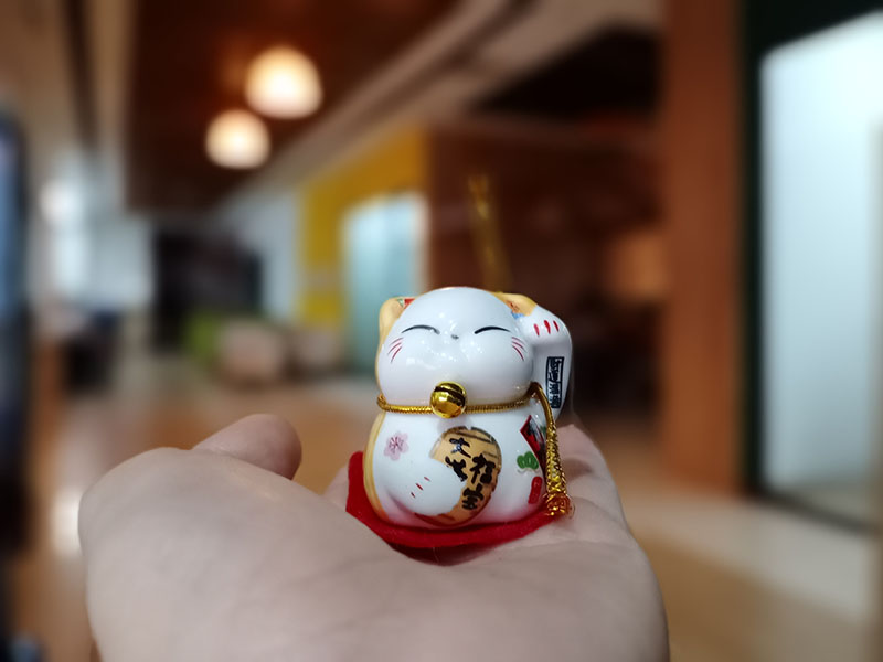 Ảnh chụp xóa phông của Vivo Y19