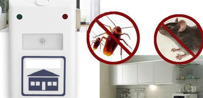 Máy đuổi chuột sóng âm là gì? Có hiệu quả không?