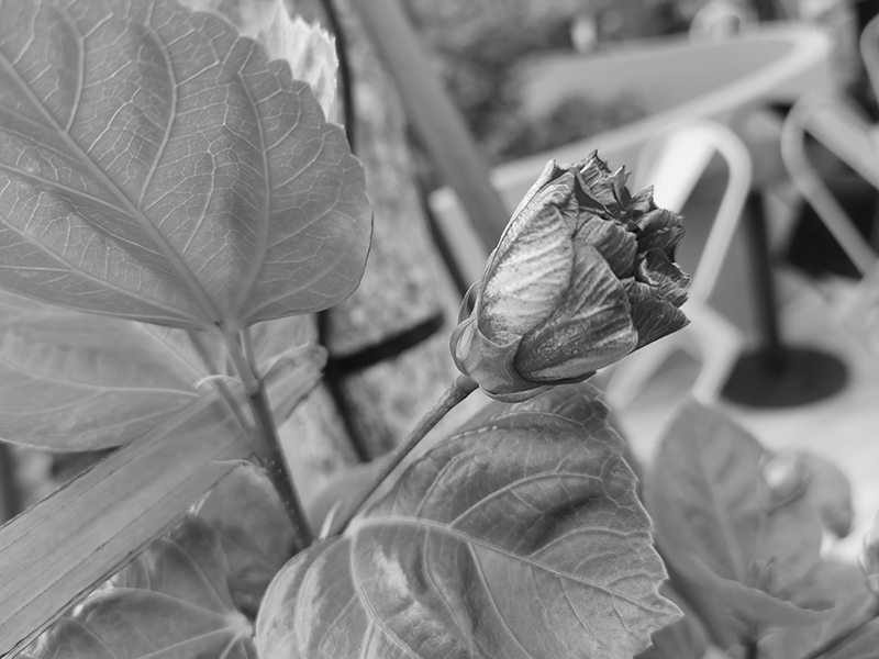 Đánh giá chi tiết Huawei P40 Đánh giá chi tiết Huawei P40