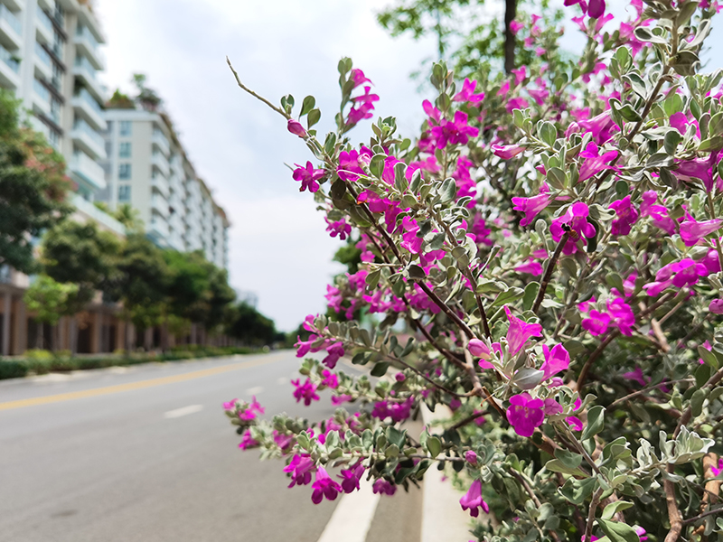 Đánh giá chi tiết Huawei P40 Đánh giá chi tiết Huawei P40