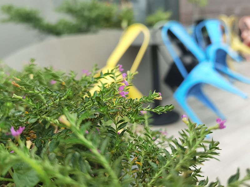 Đánh giá chi tiết Huawei P40 Đánh giá chi tiết Huawei P40